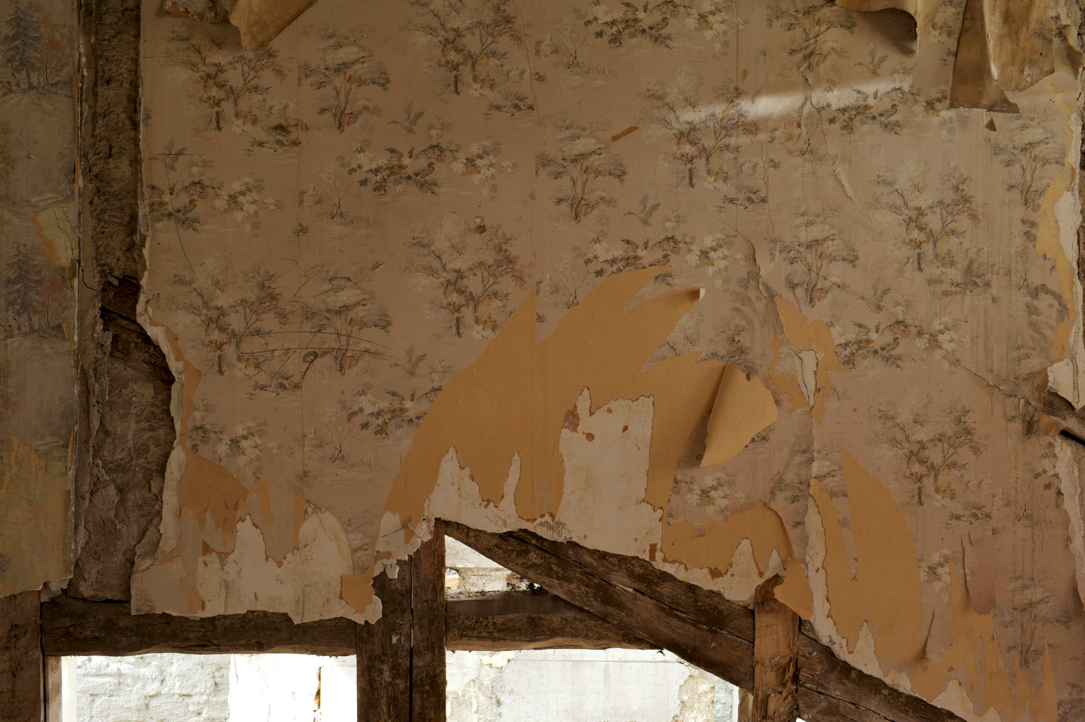 E10303  |  MplusV  |  Chantier Rue St. Francois, Lausanne